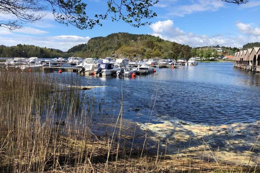 Mandal Apartment Mit Moeglichkeit Ein Boot Zu Benutzen Und Angeln Esterno foto